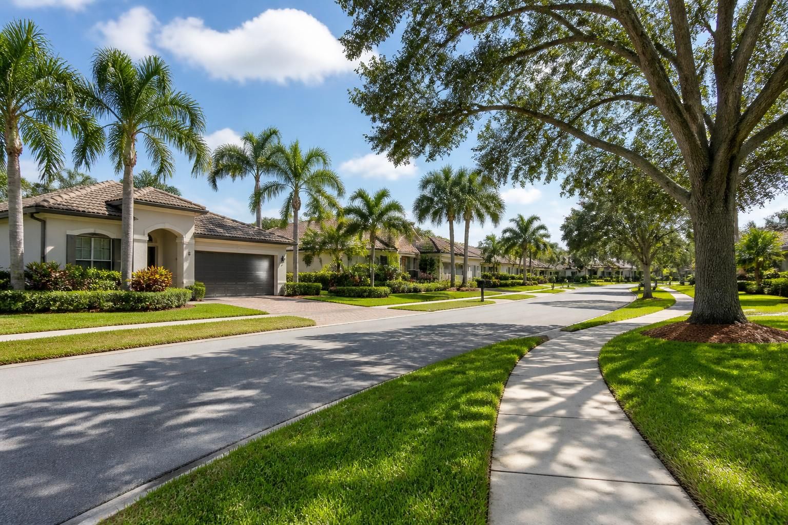 Well-kept suburban neighborhood with mature trees and bright daylight.